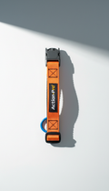 Action-Pro Collar With Breakaway Buckle