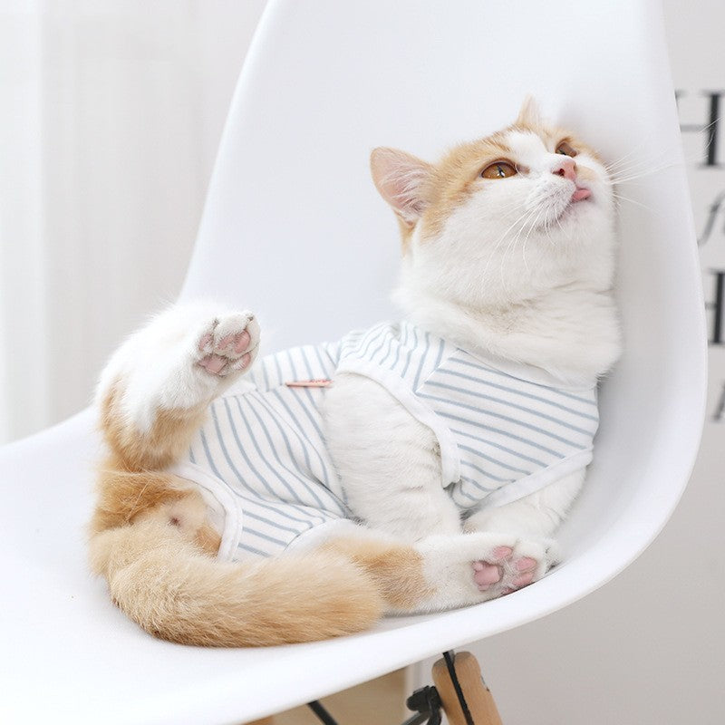 Seasonal Thin Cat Clothes for Anti-Licking Protection