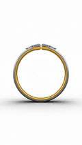 Action Collar—Flash Gold and Steel Gray