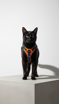 Urban Impact Harness With Reinforced Webbing