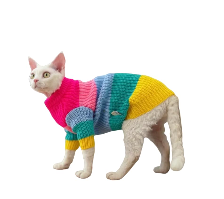 Colorful Knitted Sweater